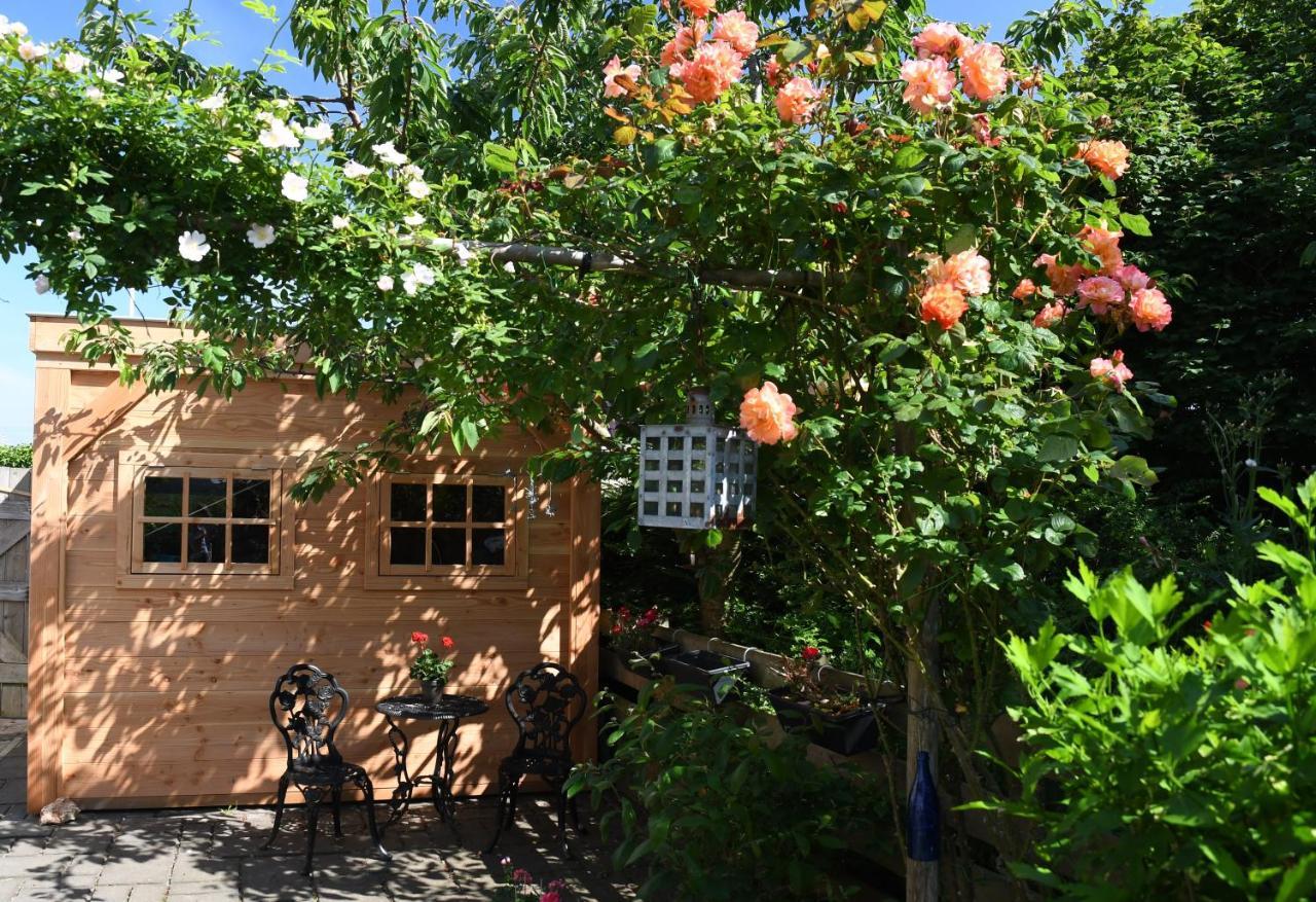 Wadden Eiland Bed En Breakfast Op Texel Oudeschild Exterior foto