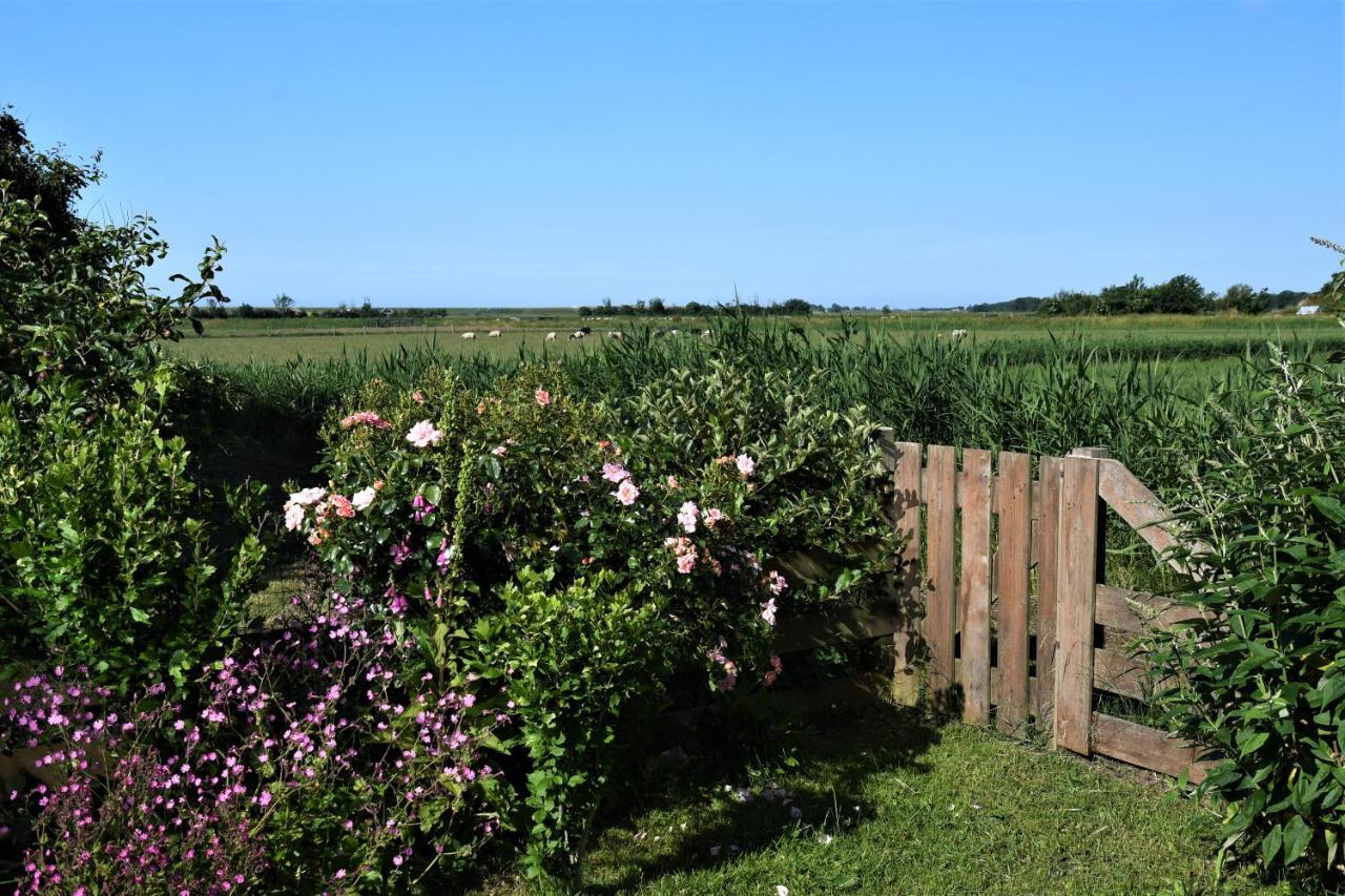 Bed and Breakfast Wadden Eiland Bed En Breakfast Op Texel Oudeschild Exterior foto