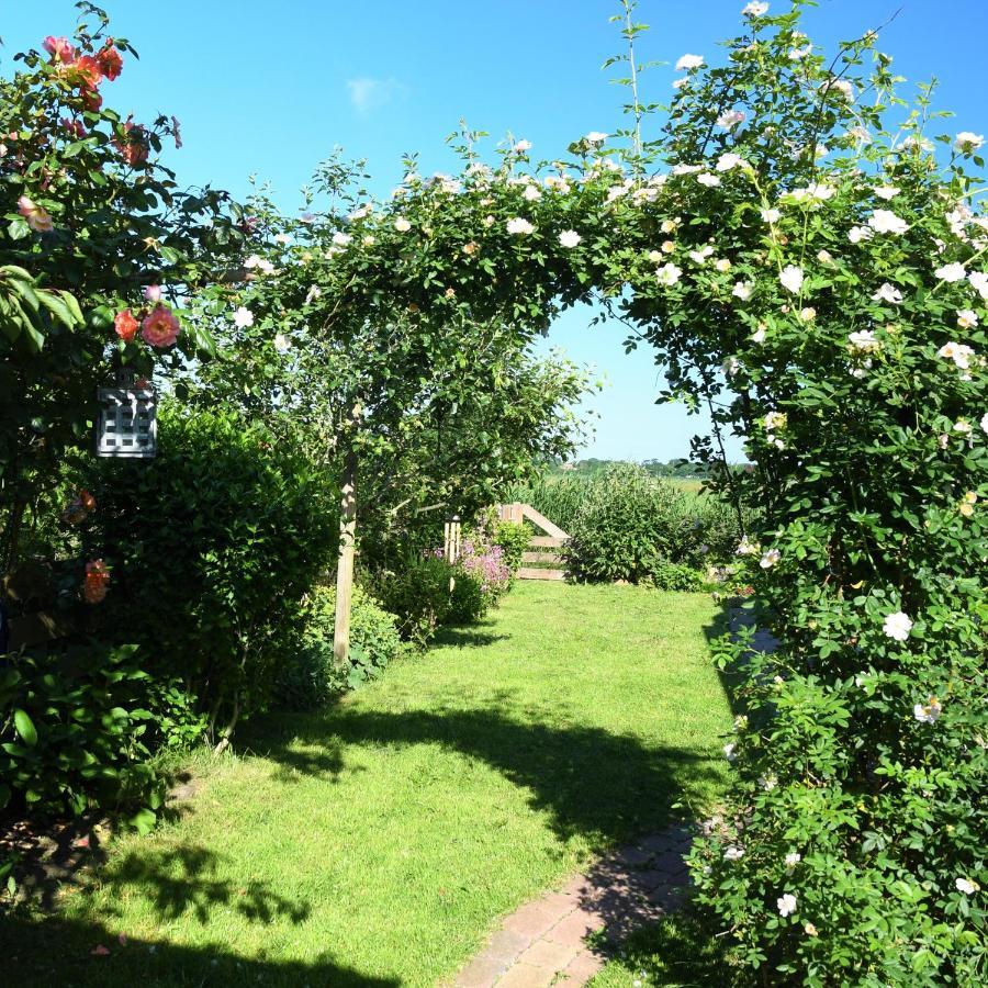 Bed and Breakfast Wadden Eiland Bed En Breakfast Op Texel Oudeschild Exterior foto